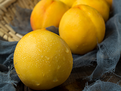 开云电竞手机版基地展示五