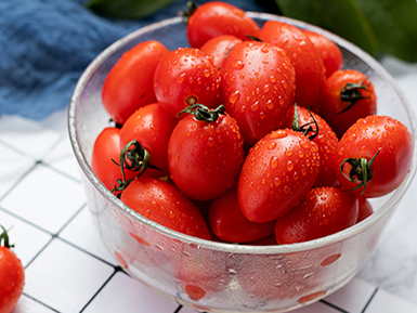 开云电竞手机版基地展示六